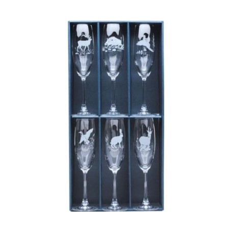 Parforce Champagner Glas Set (6 Stck.)